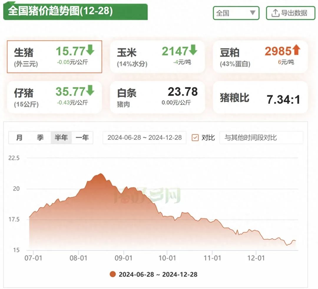 今日猪价行情速递