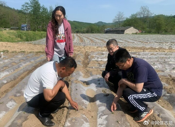 辽宁土地确权工作捷报频传，共筑乡村振兴美好未来