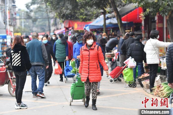 最新动态：天府国际农贸市场的全面资讯与实时更新