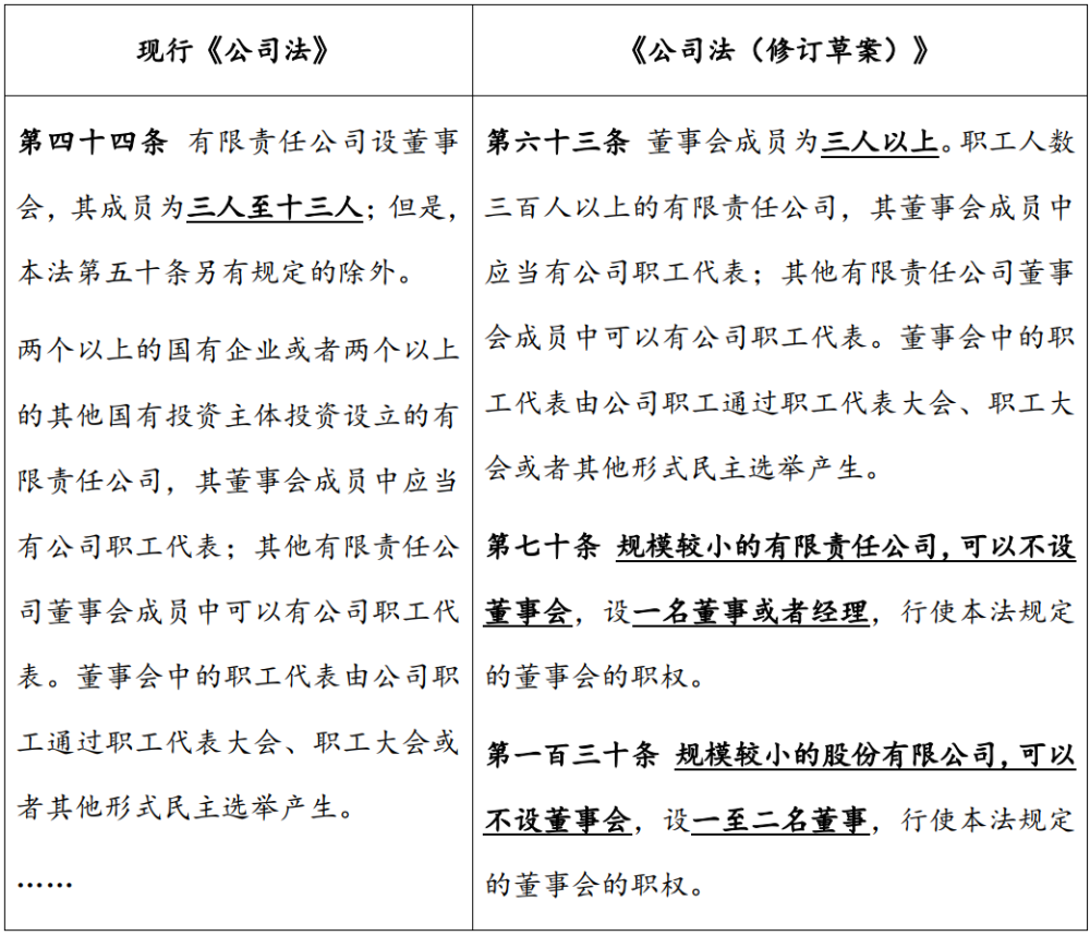 2025年度全新修订版公司法：权威解读与最新条款详析